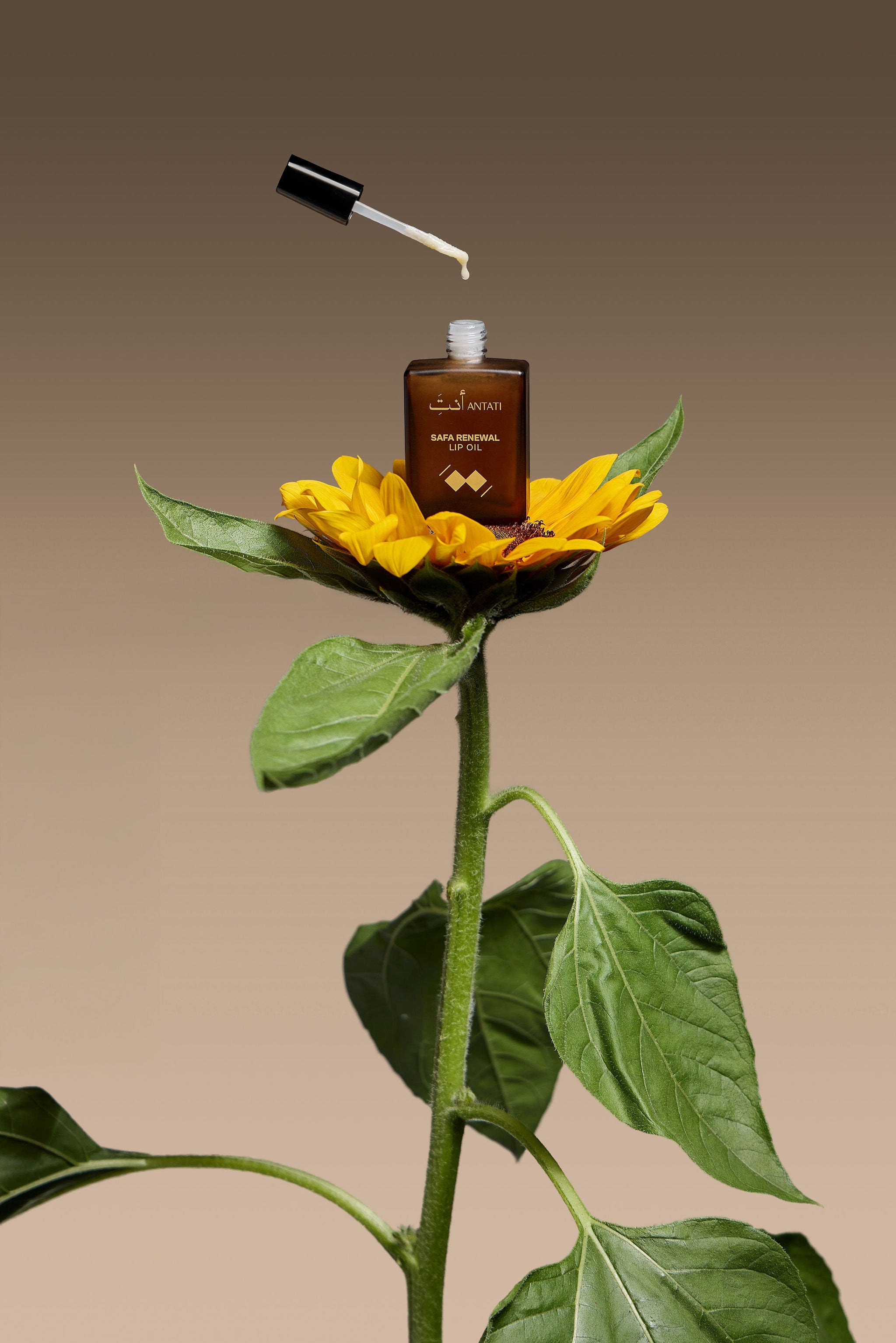 Load video: hosted_video